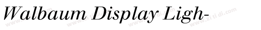 Walbaum Display Ligh字体转换 Walbaum Display Ligh字体转换